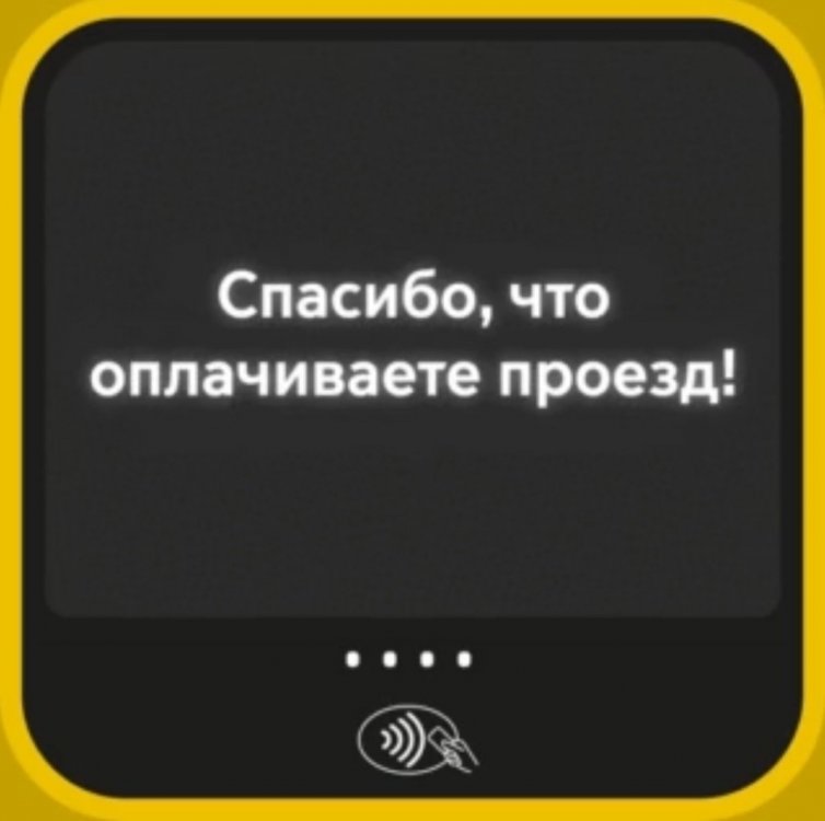 IMG_3343.jpeg